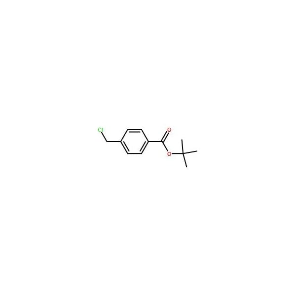 Ak Scientific tert-Butyl 4-(chloromethyl)benzoate (5g), CAS 121579-86-0 X9498-5g - main