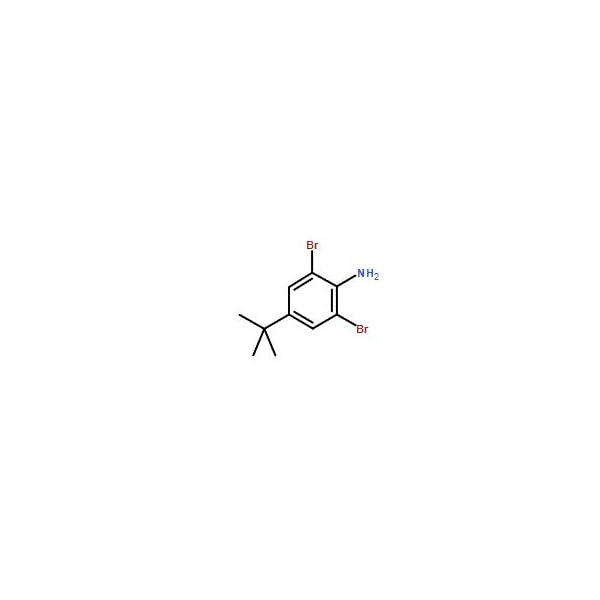 Ak Scientific 2, 6-Dibromo-4-tert-butylaniline (5g), CAS 10546-67-5 Z6806-5g - main