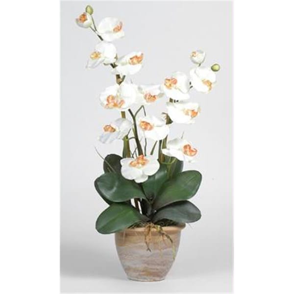 Dare2Decor Double Stem Phalaenopsis Silk Orchid Arrangement DA103046 - main