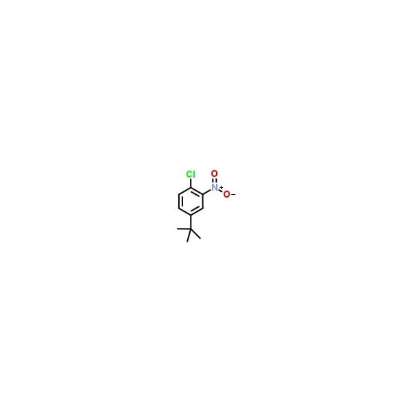 Ak Scientific 1-tert-Butyl-3-nitro-4-chlorobenzene (1g), CAS 58574-05-3 I127-1g - main