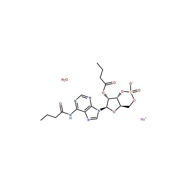 Ak Scientific Bucladesine Sodium Salt (100mg), CAS 16980-89-5 3901AH-100mg - main