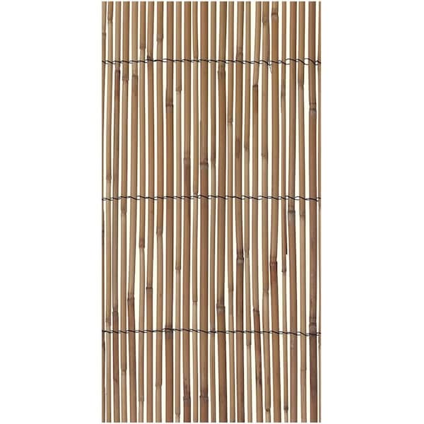 Cuadrado 13 ft. x 3 ft. 3 in. Fencing Reed, Beige CU3283710 - main