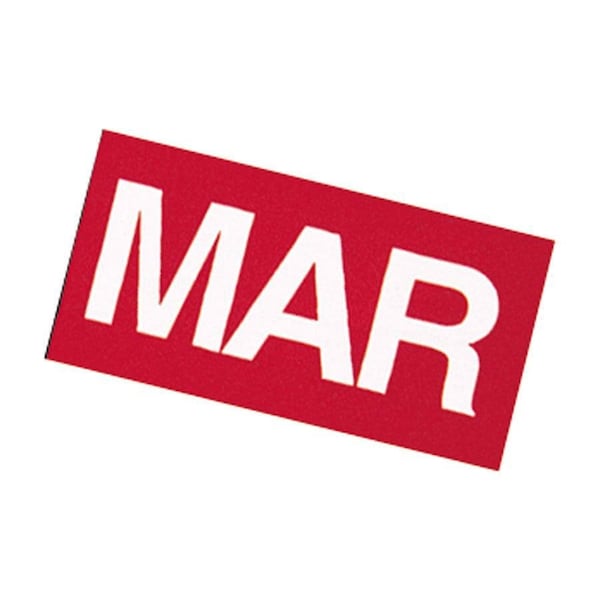 Magna Visual Magnetic White/Red Months of the Year FH-13 - main