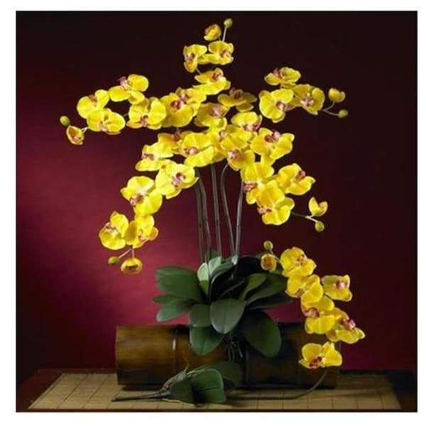 Dare2Decor Phalaenopsis Silk Orchid Flower with Leaves 6 Stems DA2567011 - main