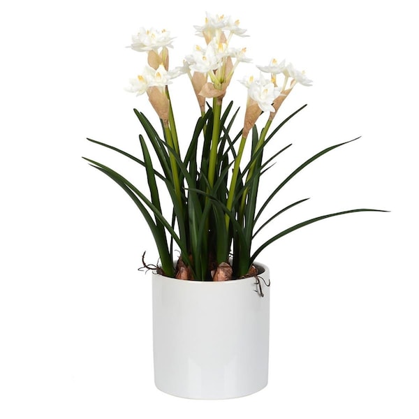 Vickerman 16.5 in. White Daffodil in Ceramic Pot FJ180301 - main