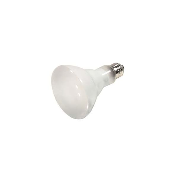 Ilc Replacement Halogen Bulb, 65W, 130V, BR30, Medium Screw (E26) INTERNATIONAL 65BR30/FL/HALOGEN - main