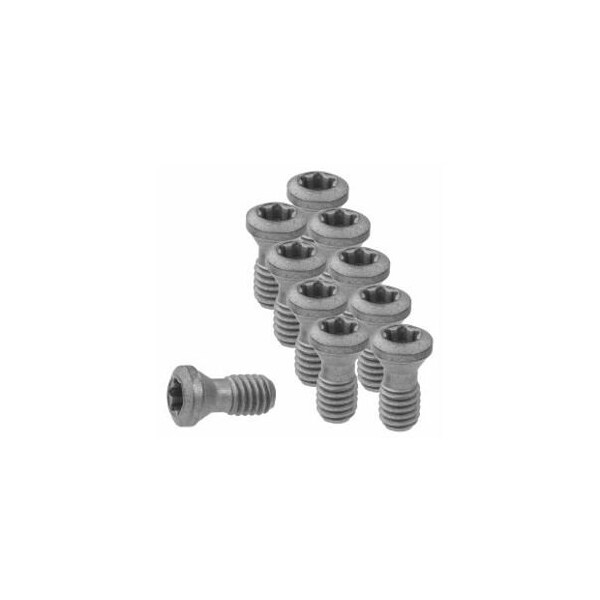Garant Set of Insert Screws, 10 Pieces 219808 - main