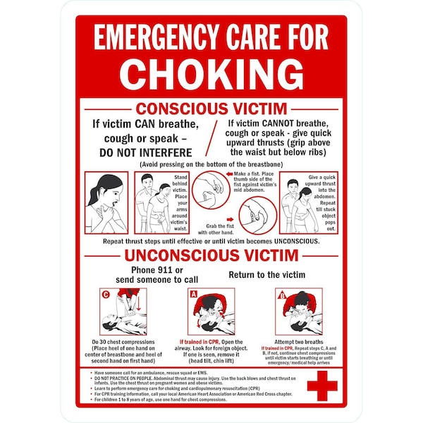 Lyle Emergency Care For Choking, Conscious Victim/ Unconsci, 10x14, Non-Reflective, White G-1312-ND_10x14 - main