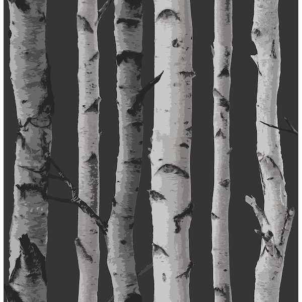 Fine Decor Distinctive Black Birch Tree Wallpaper 2900-31052 - main