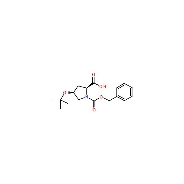Ak Scientific Z-L-Hyp(tBu)-OH (5g), CAS 85201-91-8 3194AC-5g - main