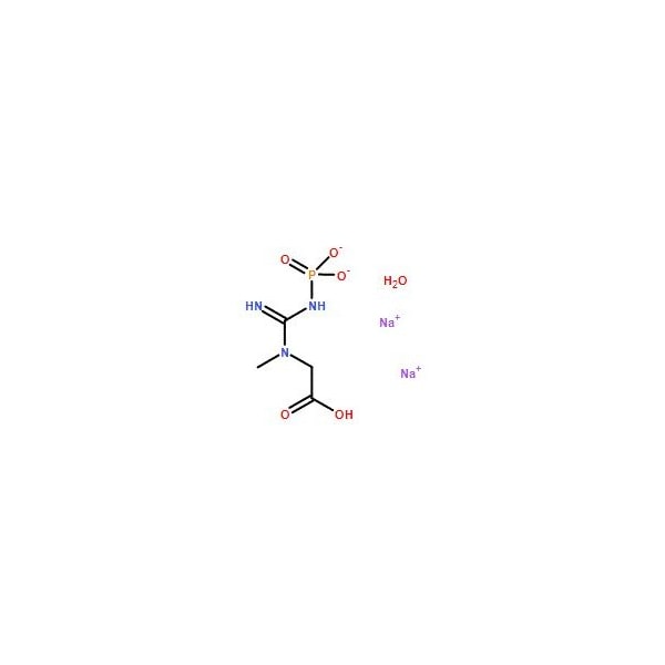Ak Scientific Phosphocreatine disodium salt hydrate (25g), CAS 19333-65-4 7633AH-25g - main