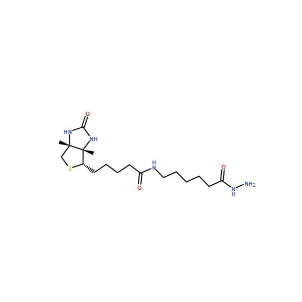 Ak Scientific Biotinamidocaproyl hydrazide (250mg), CAS 109276-34-8 6184AH-250mg - main