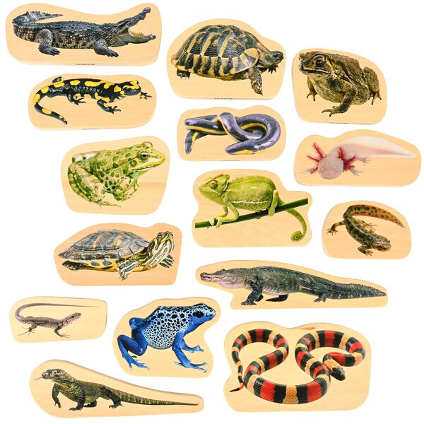 Tickit Wooden Reptile & Amphibian Blocks, 15-Piece Set 73570 - main