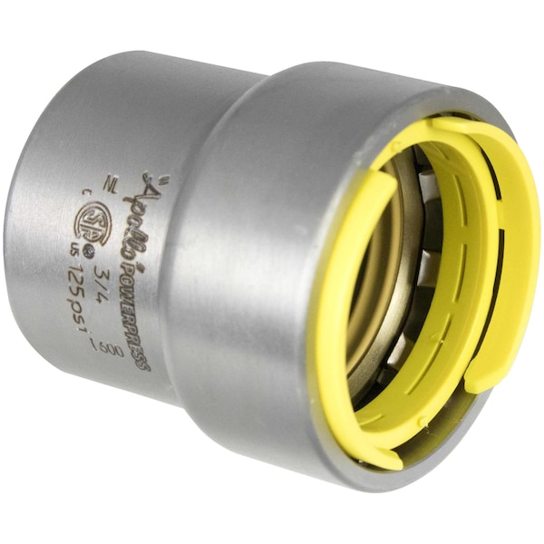 Apollo Valves CAP, GAS, 2, P (F 2in) PWR7482521 - main