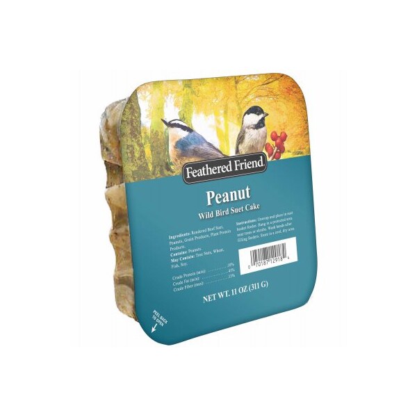 Global Harvest Foods Peanut Suet 14372 - main