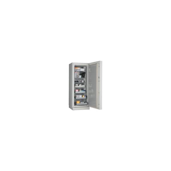 Fire King FireKing Fixed Shelf - For DS6420-2, Platinum Finish CS20-FS - main