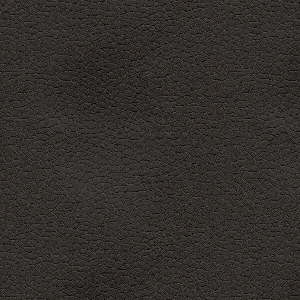 Abbeyshea Chinchilla, Polyurethane Coated Faux Leather Fabric, 9 in L, 9 in W KENDR6009M9X9 - main