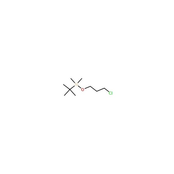 Ak Scientific tert-Butyl(3-chloropropoxy)dimethylsilane (1g), CAS 89031-82-3 4699AC-1g - main
