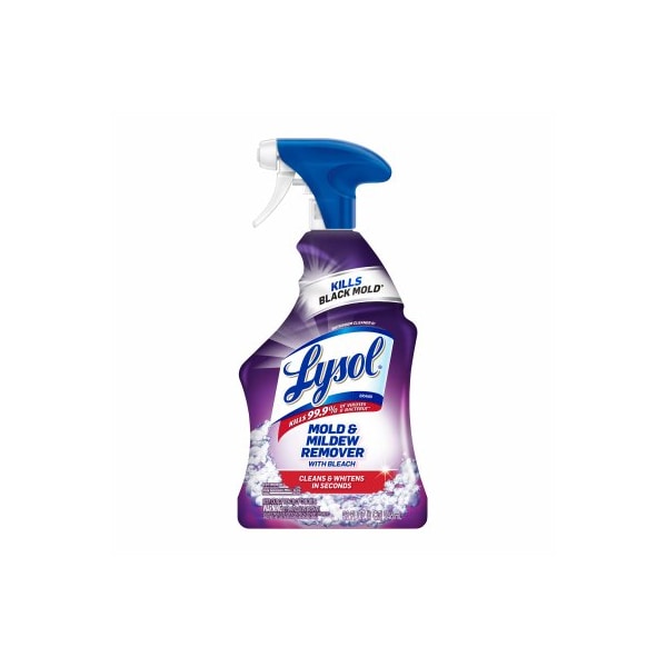 Reckitt Benckiser 32OZ Lysol Bath Cleaner 1920078915 - main