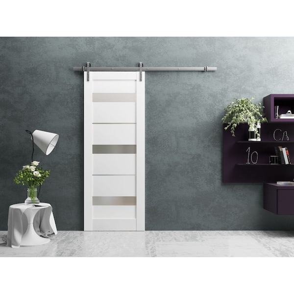 Sartodoors Barn Bypass Interior Door, 36" x 84", Gray QUADRO4055BD-S-WS-18 - main