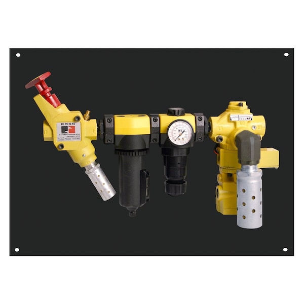 Ross Controls Safe Air Entry Assembly with SV27 Series Safe Exhaust Valve RC208L-06Z - main
