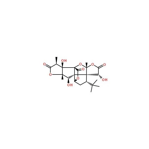Ak Scientific Ginkgolide B (25mg), CAS 15291-77-7 O231-25mg - main