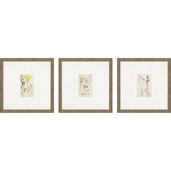 Homeroots Set Of Three Antique Botanical II Gold Framed Print Wall Art, 3PK 525895 - main