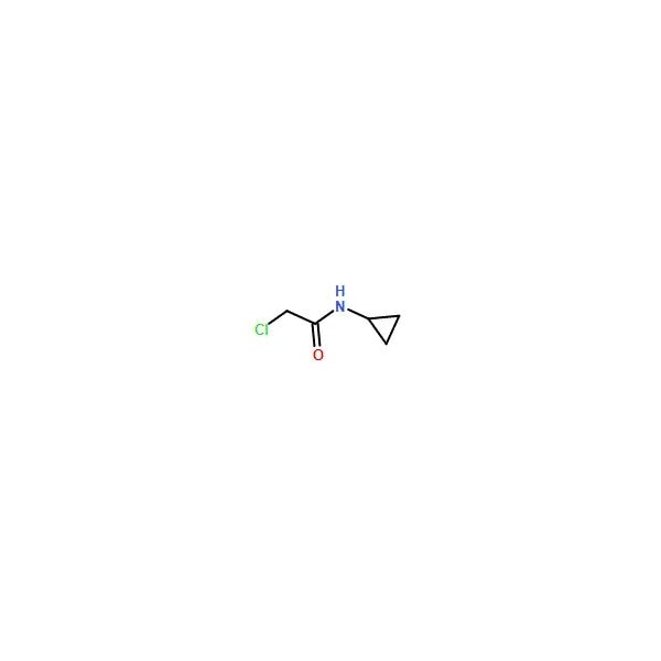 Ak Scientific N1-Cyclopropyl-2-chloroacetamide (1g), CAS 19047-31-5 Y8105-1g - main