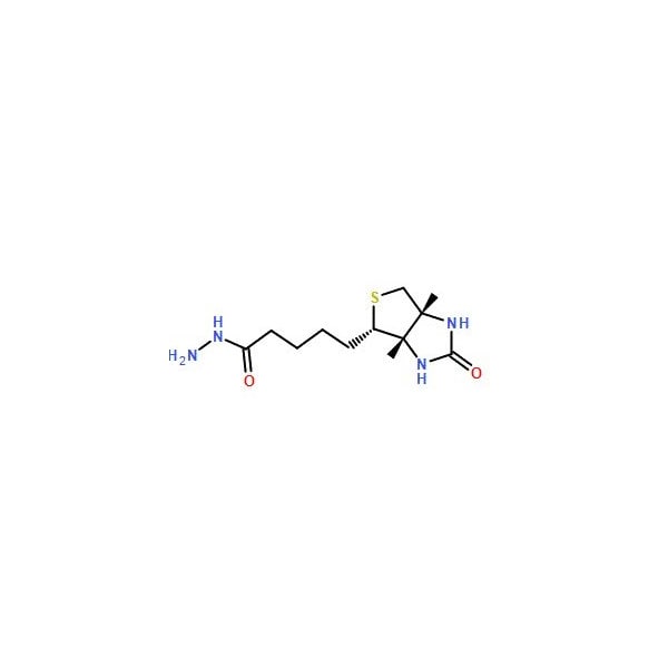 Ak Scientific Biotin hydrazide (5g), CAS 66640-86-6 0233AC-5g - main