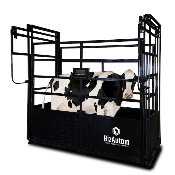 Prime Systems BizAutom Livestock Caged Cattle Scale with High End Indicator BA-LivestoX - main