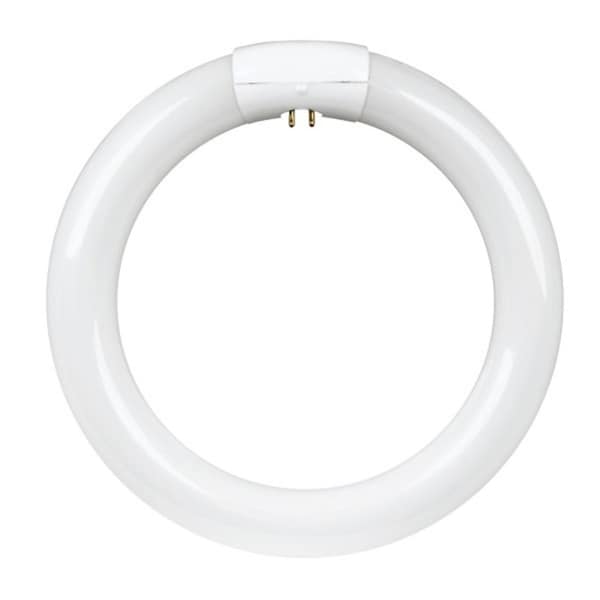 Feit Electric Fluorescent Bulb, 22 W, T9 Lamp, G10Q Lamp Base, 4100 K Color Temp, Cool White Light FC8T9/CW - main