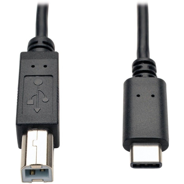Tripp Lite Eaton Tripp Lite Series USB-C to USB-B Cable - USB 2.0, (M/M), 6 ft. (1.83 m) U040-006 - main