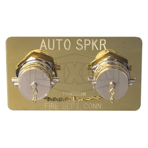 Dixon The Right Connection 22-229 Concealed Double Clapper Siamese Assembly, Cast Brass, Domestic 2WCA6025F-SP-C - main