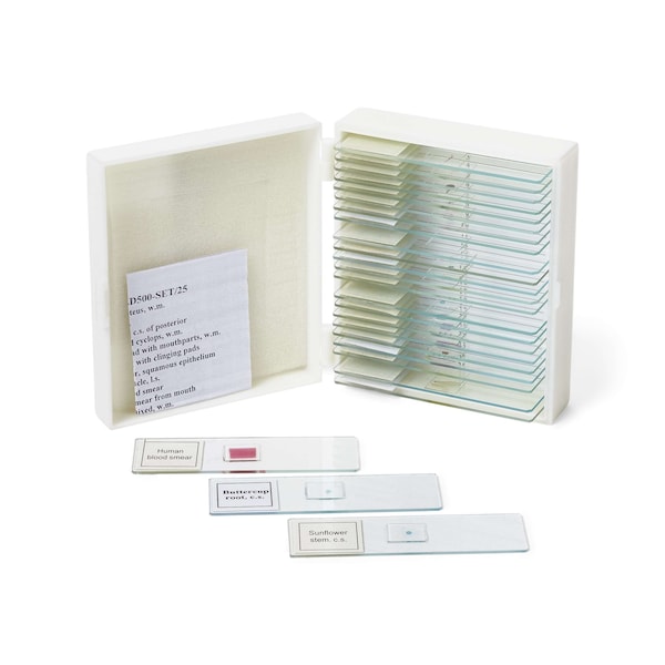 United Scientific Prepared Slide Set, 25 Slides SLD500-SET/25 - main