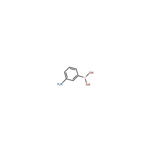 Ak Scientific 3-Aminobenzeneboronic acid (5g), CAS 30418-59-8 E673-5g - main