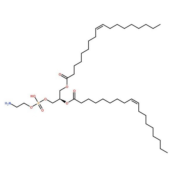 Ak Scientific 1, 2-Dioleoyl-sn-glycero-3-phosphoethanolamine (5g), CAS 4004-05-1 0066AP-5g - main