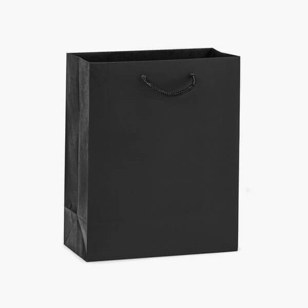 Nashville Wraps Black Kraft Gift Bags, Cub 8x4x10, 100PK KTCBBK - main