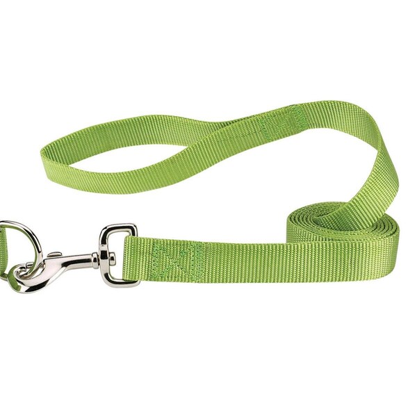 Casual Canine 4 ft. x 0.62 in. Nylon Dog Leash Lead, Light Green ZM2392 44 70 - main