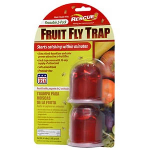 Sterling International FFTR2-SF6 Reusable Fruit Fly Trap, 4PK 9034505 - main