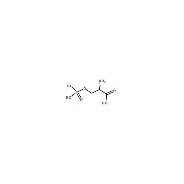 Ak Scientific O-Phospho-L-serine (1g), CAS 407-41-0 7600AH-1g - main