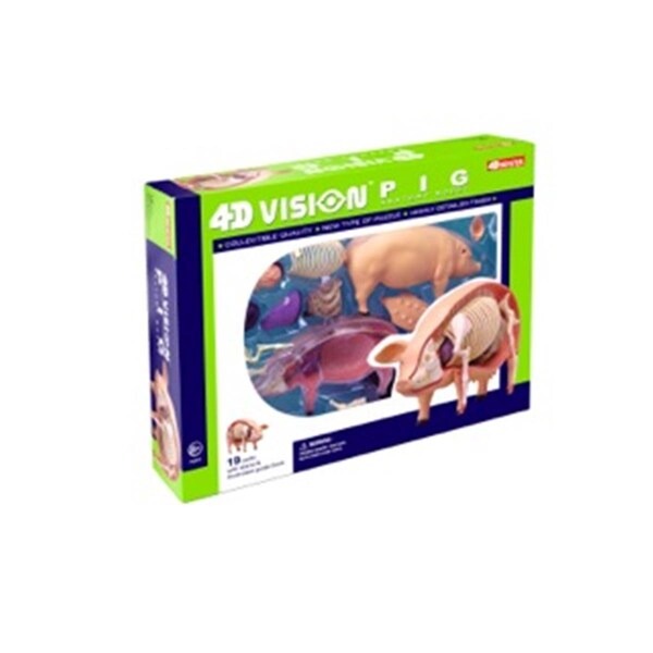 Tedco Toys 4D Vision Pig Anatomy Model 26102 - main