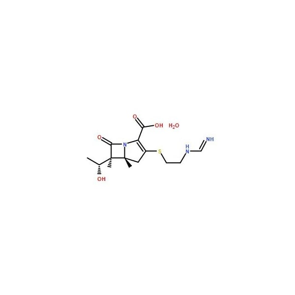 Ak Scientific Imipenem monohydrate (1g), CAS 74431-23-5 V0250-1g - main