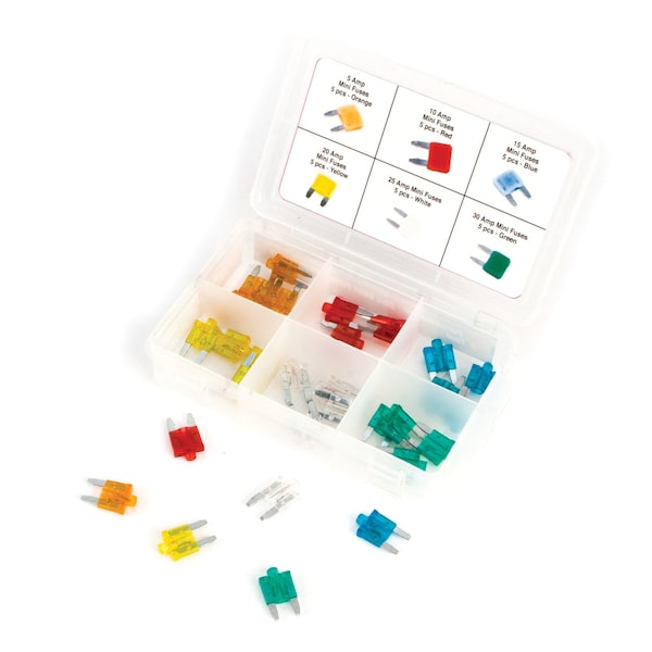 Performance Tool 30 pc. Mini Fuse Assortment, LED Indicator, 5-30A Fuses W5377 - main