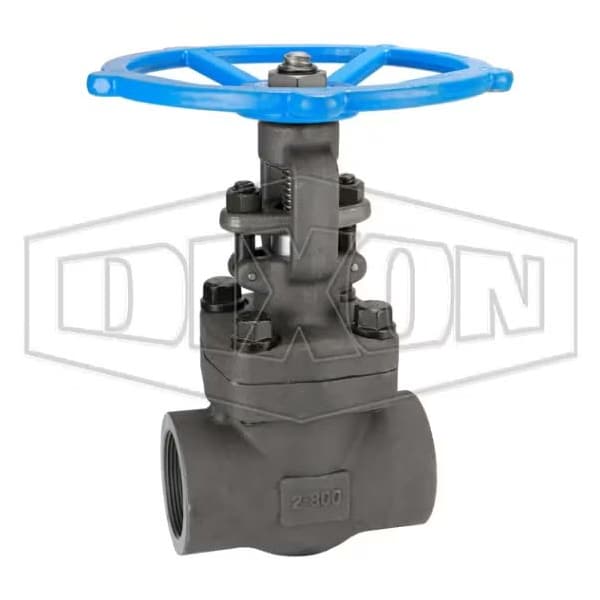 Dixon Gate Valve, 2 in, FNPT, Class 800, Forged Steel Body FSGV200 - main