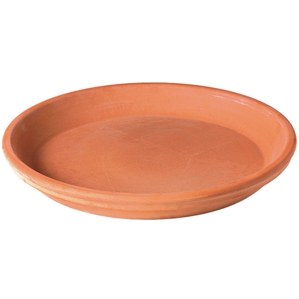 Deroma White Garden 0.95 in. H X 6.19 in. D Clay Sottovaso Plant Saucer Terracotta 8715WPZ - main