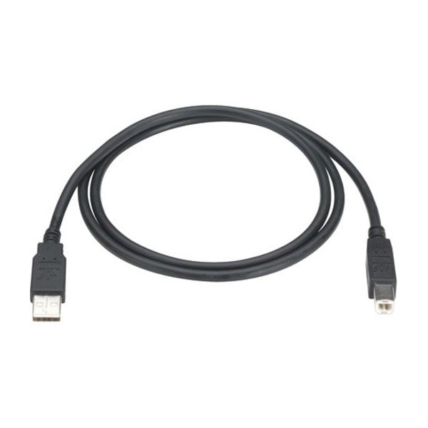 Black Box BLACK BOX Universal Serial Bus USB Cable Version 2.0 USB-A Type B 13-ft. 3.9-m USB05-0013 - main