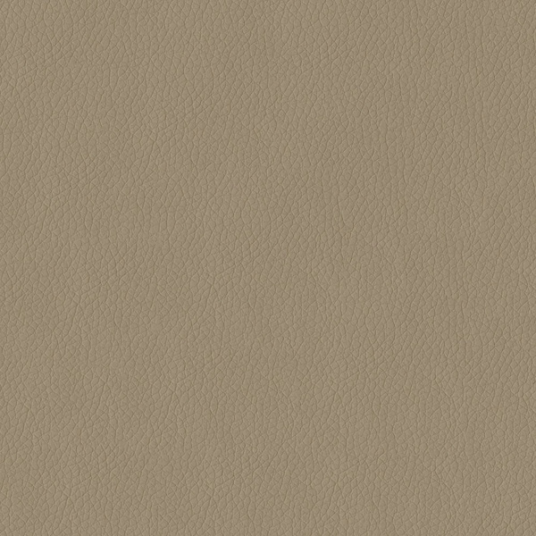 Abbeyshea Taupe, Polyurethane Coated Faux Leather Fabric, 9 in L, 9 in W KENDR3948M9X9 - main