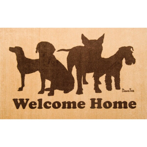 Floortex Door Mat, Nylon Fibres, 0.2 in Thick, Brown, 24 in W x 39 in L FR4WD2439BG - main