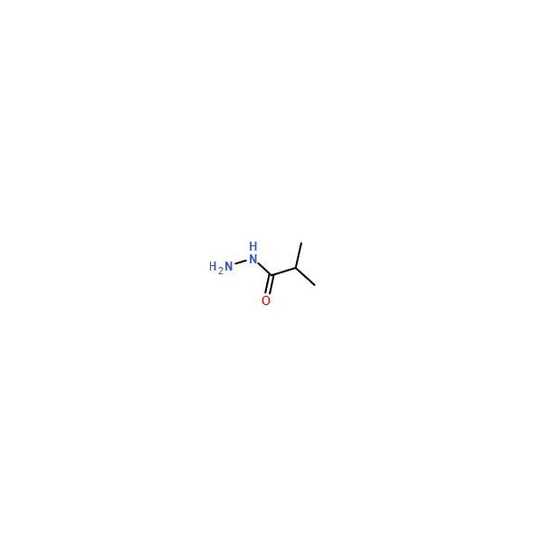 Ak Scientific Isobutyric acid hydrazide (5g), CAS 3619-17-8 R443-5g - main