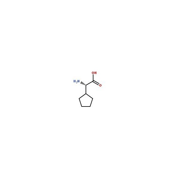 Ak Scientific L-Cyclopentylglycine (10g), CAS 2521-84-8 E516-10g - main